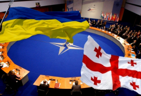 Президента США призвали предоставить Грузии и Украине статус основных союзников, не входящих в НАТО