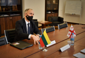 Посол Литвы - Идет обмен мнениями о том, как мы можем работать для Украины и Грузии в Брюсселе и евроатлантических структурах
