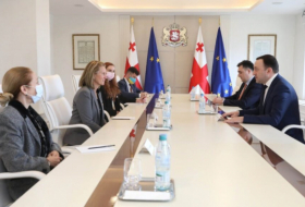 Ираклий Гарибашвили встретился с заместителем администратора USAID по политике и программам Изабель Коулман