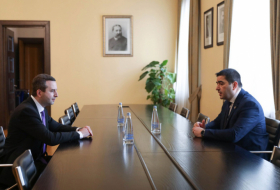 Глава Специальной следственной службы Кока Кацитадзе встретился с председателем парламента Грузии