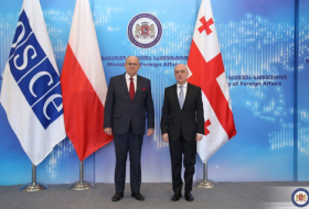 Председатель ОБСЕ пообещал актуализировать тему Грузии в международной повестке дня