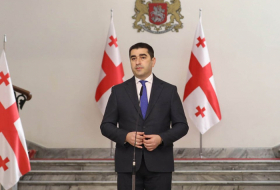 Папуашвили: Не собираемся инициировать выступление Зеленского в парламенте Грузии