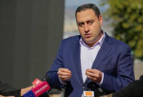 Георгий Вашадзе призвал Ираклия Гарибашвили отменить акциз на топливо
