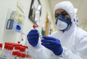 В Грузии зафиксировано 208 новых случаев коронавируса