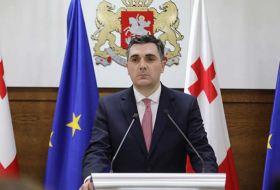 Илья Дарчиашвили - Правительство в параллельном режиме рассматривает любую платформу или формат, которые позволят нам ускорить европейскую интеграцию
 
