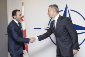 Грузия примет участие в саммите НАТО в Мадриде