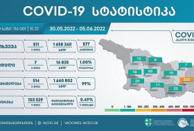 В Грузии за сутки инфицировано 51 выздоровело 95 человек, за неделю выявлено 511 новых случаев коронавируса