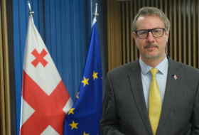Карл Харцель: настало время для согласованных действий для дальнейшей интеграции Грузии в ЕС