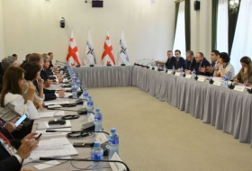 Шалва Папуашвили встретился с членами Комитета по обороне и безопасности Парламентской ассамблеи НАТО