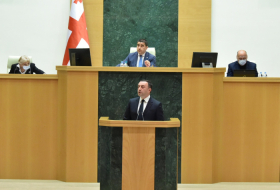 Выступление Гарибашвили в парламенте Грузии началось с шума