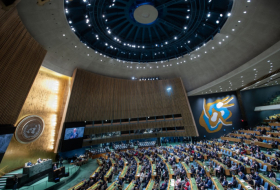 Генассамблея ООН приняла резолюцию по грузинским беженцам