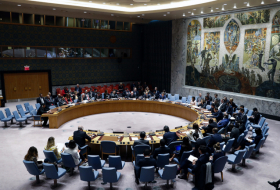 Шесть государств-членов Совбеза ООН призвали РФ вывести войска с территории Грузии