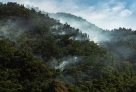 В Грузии пятые сутки продолжаются лесные пожары