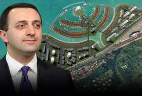Гарибашвили представил проект строительства искусственного «Пальмового острова» в Батуми