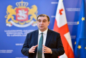 Министра образования вызвали в парламент Грузии по поводу русских школ