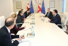 Ираклий Гарибашвили встретился с заместителем администратора Агентства США по международному развитию США по делам Европы и Евразии