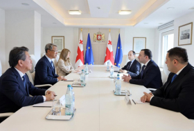 Ираклий Гарибашвили встретился с исполнительным директором компании-инвестора «Ненскра-ГЭС»