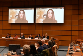 Выступление Надии Мурад на Венском дискуссионном форуме