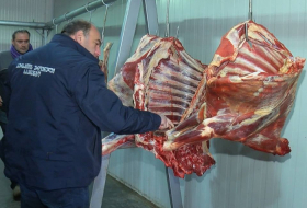 Мясо конины и осла во второй раз нашли в продукции ООО «Лидер» в Тбилисис