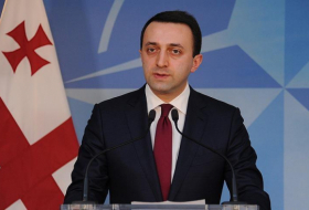 Гарибашвили исключил военную помощь Украине со стороны правительства Грузии