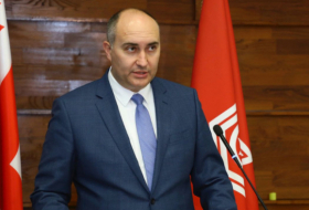 Министр обороны Грузии: Мы делаем максимум с точки зрения помощи Украине