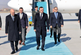 Начался визит Ираклия Гарибашвили в Турцию