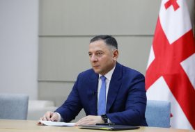 Глава МВД Грузии заявил об успехах в борьбе с преступностью