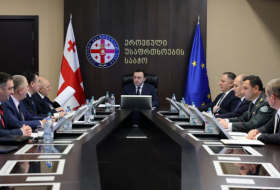 Премьер-министр Грузии провел заседание Совета национальной безопасности