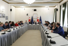 Послы стран ЕС предупредили спикера парламента Грузии о последствиях принятия закона об иноагентах