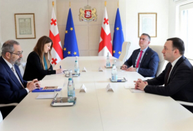 Ираклий Гарибашвили встретился с новым главой Миссии наблюдателей ЕС в Грузии Димитриосом Карабалисом