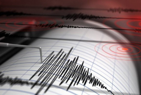 В Грузии произошло землетрясение магнитудой 4,2