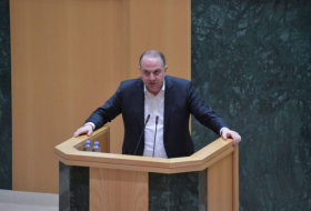 Парламент Грузии заслушал отчет о деятельности постоянной делегации в парламентской ассамблее Совета Европы за 2022 год