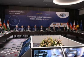 Первая встреча на высоком уровне по вопросу черноморского кабеля прошла в Тбилиси
