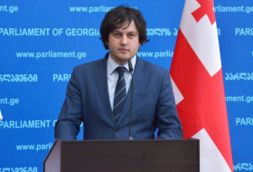 Власти Грузии больше не действуют по чужой указке – лидер 