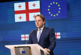Еврокомиссия до конца мая даст промежуточную оценку действий Грузии – еврокомиссар