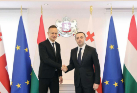 Ираклий Гарибашвили встретился с министром иностранных дел и торговли Венгрии