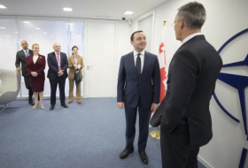 В Брюсселе анонсировали встречу генсека НАТО и премьер-министра Грузии