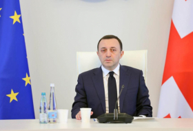 Заседание Комиссии по интеграции Грузии в Евросоюз прошло под руководством Ираклия Гарибашвили