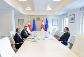 Премьер-министр Грузии провёл встречу с главой миссии МВФ