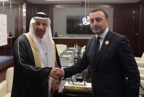 Irakli Garibashvili discussed issues of economic cooperation with members of the Government of the Kingdom of Saudi Arabia
