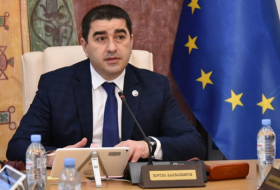 Грузия не нарушает санкции – глава парламента ответил на критику Госдепа США