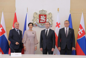 Ираклий Гарибашвили встретился со спикерами парламентов республик Австрии, Чехии и Словакии
