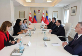 Что обсудил премьер Грузии с главой МИД Лихтенштейна
