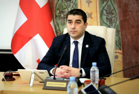 “Верх цинизма!” – спикер парламента Грузии ответил НПО и их спонсорам
