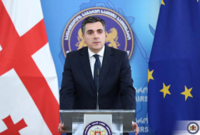 Илья Дарчиашвили - Внешняя политика Грузии в отношении соседних стран ориентирована на сбалансированные отношения, наша цель - способствовать миру и стабильности в регионе