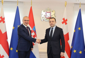 Хорватия активно поддерживает Грузию на пути Евросоюза