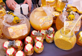 Фестиваль меда и пчеловодства пройдет в Батуми