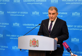 Реформы в Грузии не остались незамеченными – депутат об отчете ЕС о правах человека