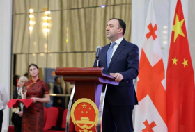 Премьер Грузии рассказал о перспективах развития отношений с Китаем
