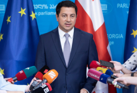 Власти и общество Грузии объединены вокруг европейского будущего страны – вице-спикер